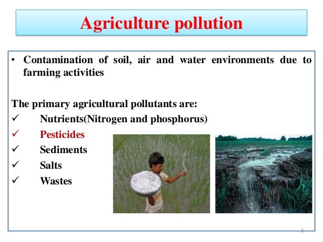 pesticides in food effects on humans Effects pesticide use